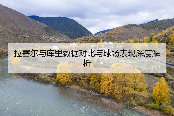 拉塞尔与库里数据对比与球场表现深度解析